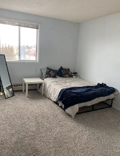 1 Bedroom 1 Bathroom in Condo - 5 min walk to UCalgary Image# 15