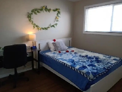 A PRIVATE ROOM FOR RENT IN EDMONTON Image# 1