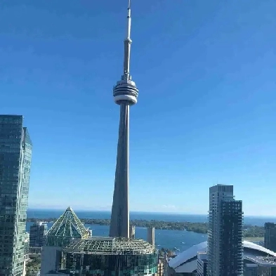 A luxury single room for renting in downtown Toronto Image# 3