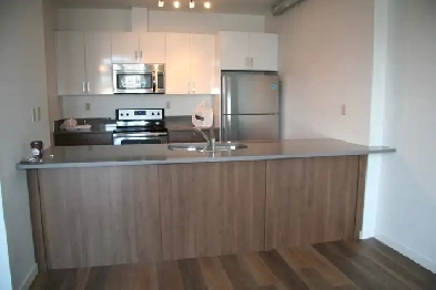 LARGE LOFT UNIT ON 124 STREET - PET FRIENDLY- AC- BALCONY Image# 6
