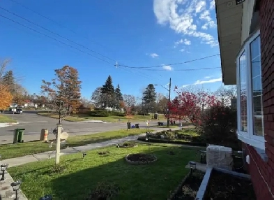 Location ! Basement apartment for rent Image# 7