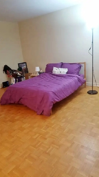 Bachelor Apartment near uOttawa for Rent Image# 1