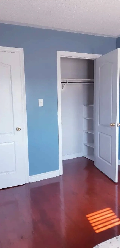 Room for rent in Newmarket Image# 1