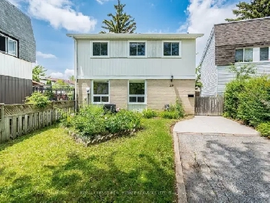 Bright Sunlit Open Concept House Image# 5