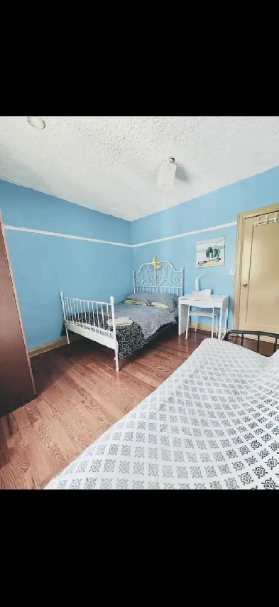 room for rent at Kensington Market Image# 4