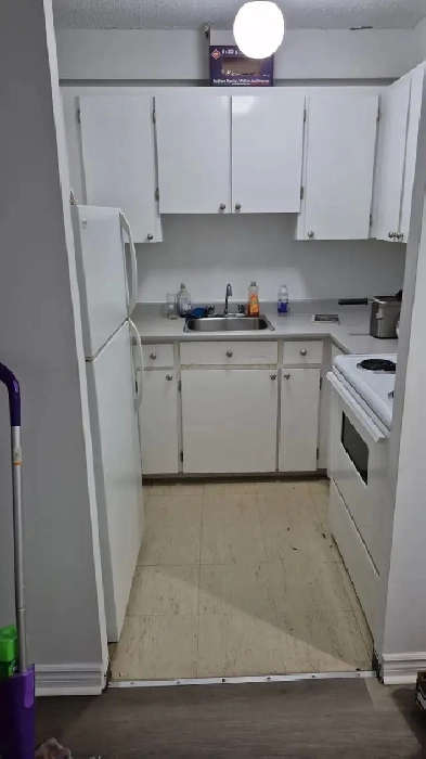 3 1/2 Cozy Appartment to rent near Cégep Bois-de-Boulogne Image# 2