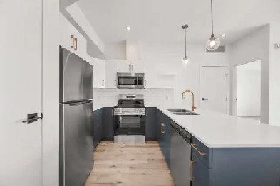 BRAND NEW 3 Bedroom Apartment! Move In Ready! Image# 8