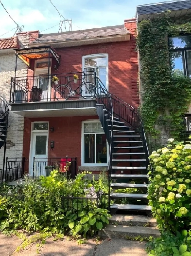 Logement à Louer  4 1/2 Petite Italie Image# 3