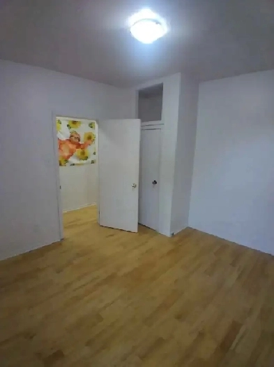Room for rent in Sandy Hill Image# 3