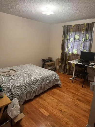 Newmarket Room for Rent Image# 1