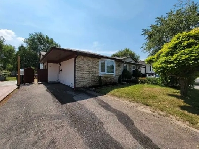 3 bed 1 bath for rent in Brampton Image# 2