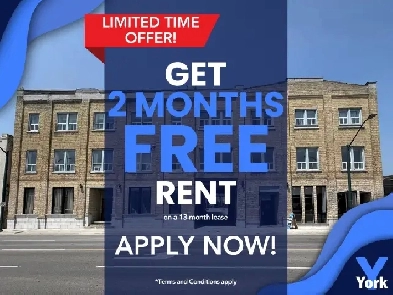 One Bedroom Downtown Spacious Apartment for Rent! York & Talbot Image# 1