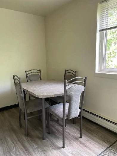 Charming 1-Bedroom Apartment for Monthly Rent – Spacious, Renova Image# 4