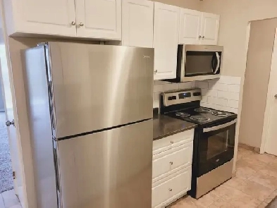 South Shore Downtown Renovated 1 Bedroom Top Floor Apartment Image# 4