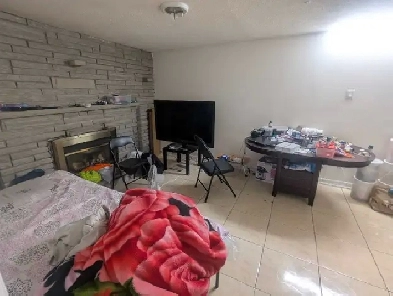 1BHK Basement Apartment for rent in Etobicoke Image# 6