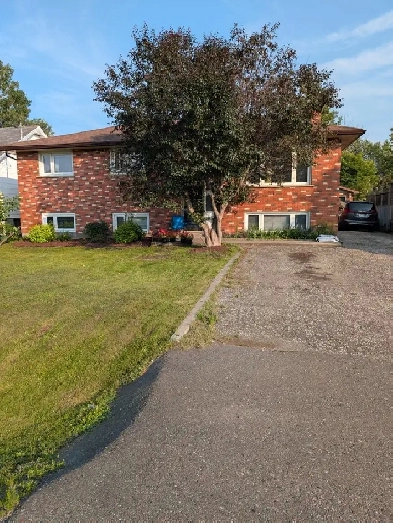 house for sale Image# 3