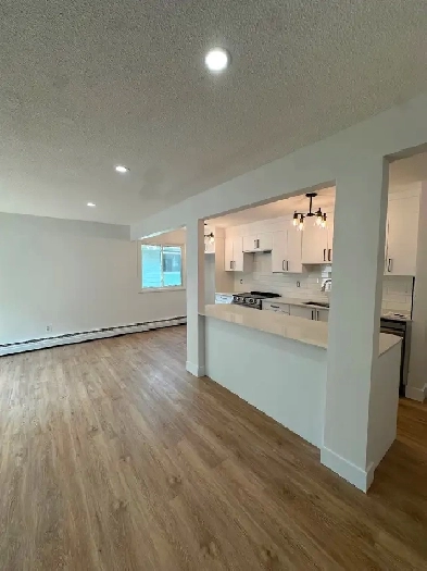 Renovated BRAND NEW - 3BDR 2BATH Image# 5