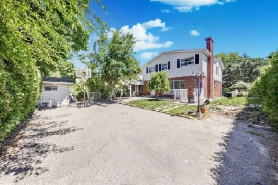 2 bedroom walk-out basement available for rent Image# 4