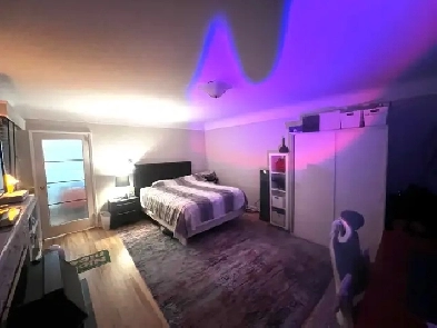 Large 1 Bd in House by Hillside mall Image# 1