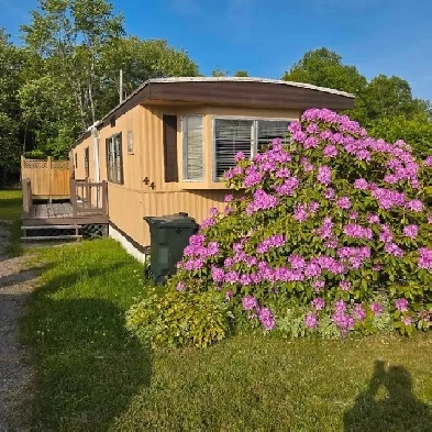 Handyman Special (REDUCED PRICE!) Image# 1