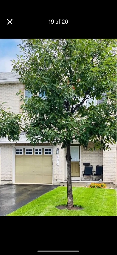 3 Bedroom 2.5 Bath for Rent In North Kanata Image# 6