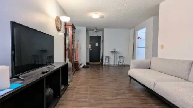 Room for Rent in Downtown Toronto Image# 5
