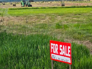 134 Acres of Mixed Farmland Image# 5
