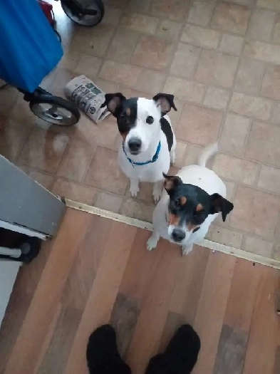 building lot for sale Image# 1