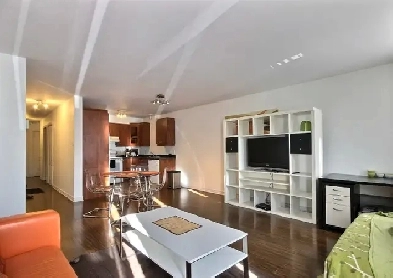 Big Bright 4½  Apartment Image# 5