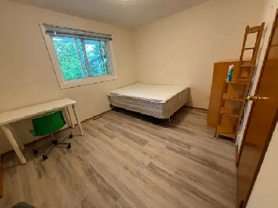 Main Floor Bedroom $675 close to Dalhousie Station Image# 5