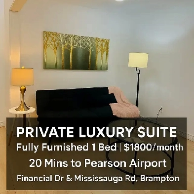 Private Luxury Suite | Fully Furnished 1 bed | 20 Min to Airport Image# 2