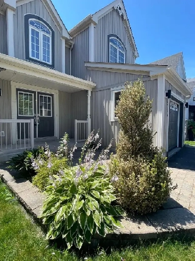 Amazing house for rent Image# 7