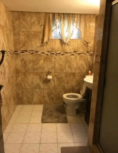 3 Bedroom Basement   1 Den for Rent Image# 4