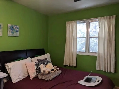 Room For Rent Near University of Alberta Image# 1