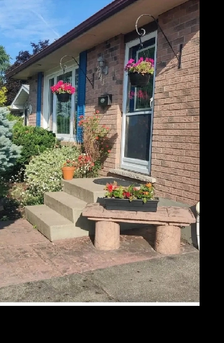 Private Furnished Basement Room  All Inclusive –N.falls. 1st sep Image# 3