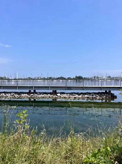 Furnished Studio for Rent – Etobicoke Lakeshore Image# 8
