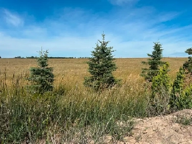 16 Acres for sale Image# 2