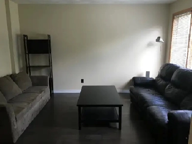 INCL 3 ROOMS FOR RENT FURN’D HOUSE WALK/BIKE/BUS TO UNI/COL PARK Image# 7