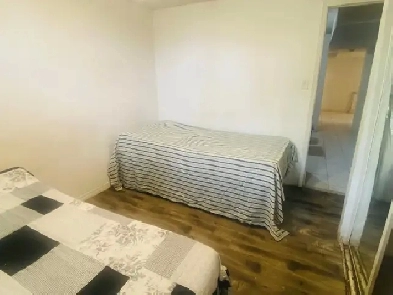 Rooms and basement for rent Brampton Image# 1