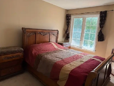 Urgent room for rent  female only Image# 2