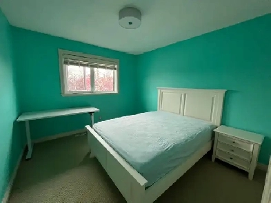 Room for Rent Image# 6