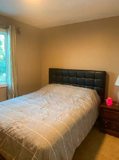 Room for Rent Highland Park NW 800.00 Image# 4