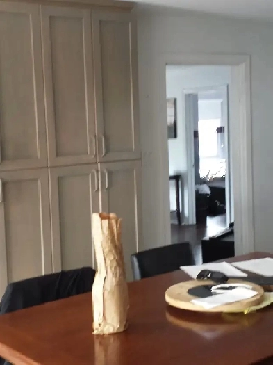 Spacious 3-Bedroom fully furnished/ 2 km from Parliament Hill Image# 9