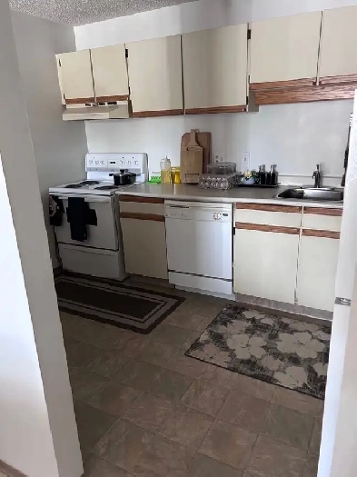 Two Bedroom Apartment in Lakeview Image# 2