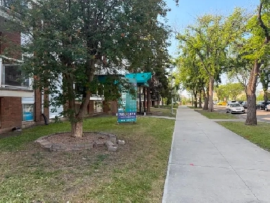 Spacious Bi-Level 1-Bedroom Apartment in Prime Downtown Location Image# 1