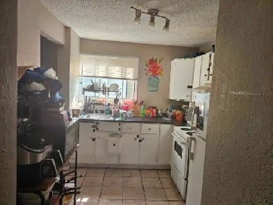 Apartment near Downtown Chinook mall Image# 3