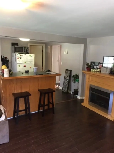 Bright one bedroom apartment Image# 4