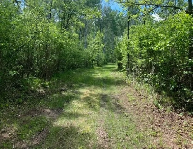 5 acre property/land in La Broquerie Image# 5