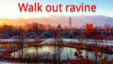 NEW 2 BEDROOM BASEMENT FOR RENT IN BRAMPTON (UTILITIES INCLUDED) Image# 1