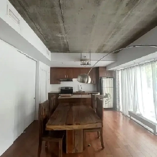 CONDO COLLINE PARLEMENTAIRE Image# 6